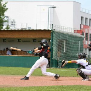 Renards_250525@clermont-12