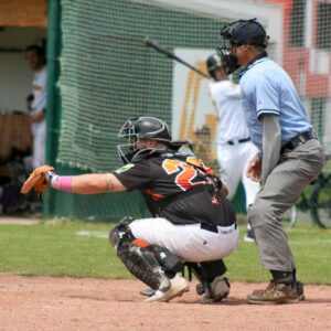 Renards_250525@clermont-25