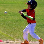 Renards-9U-260517-15