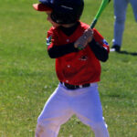 Renards-9U-260517-22
