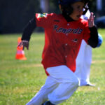 Renards-9U-260517-24