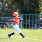 Renards-9U-260517-3