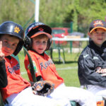 Renards-9U-260517-8